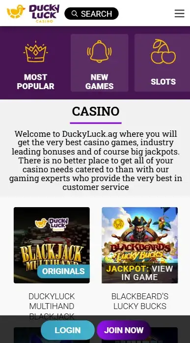 Features of the DuckyLuck Casino App